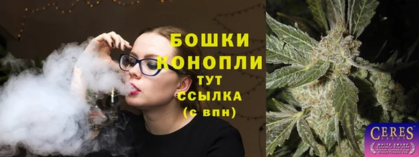 индика Валуйки