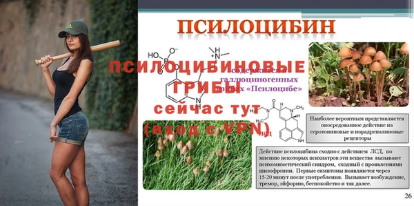 винт Покровск