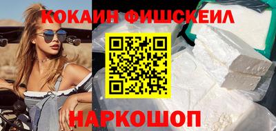 крисы Пенза
