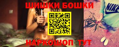 крисы Пенза