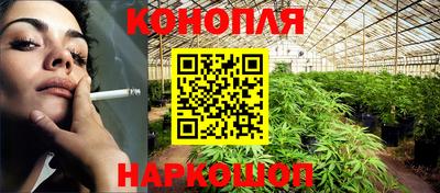 крисы Пенза