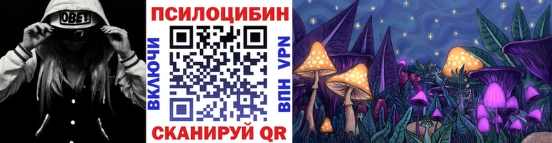 Псилоцибиновые грибы MAGIC MUSHROOMS  Фрязино 