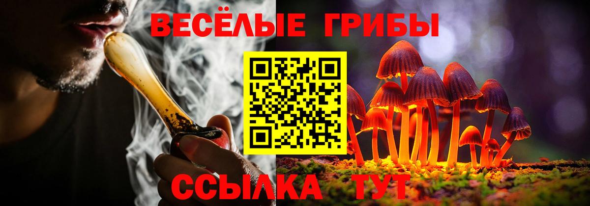 Галлюциногенные грибы GOLDEN TEACHER  Вход с VPN  Фрязино 